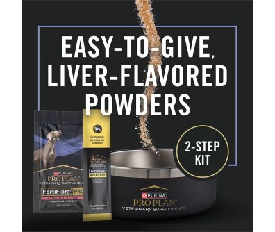 Easy to give liver flavored powders 2 step diarrhea response kit for dogs with synbiotic action