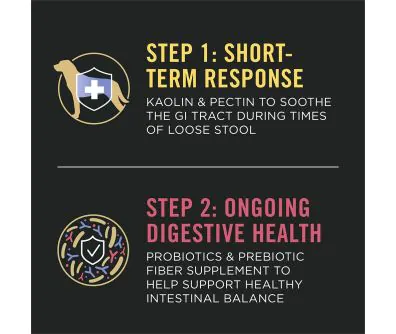 PPVS FortiFlora Pro Canine Diarrhea Response Kit | Pro Plan Vet Direct