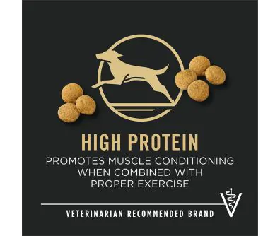 Dog food package label highlighting 'High Protein' and 'Veterinarian Recommended Brand'