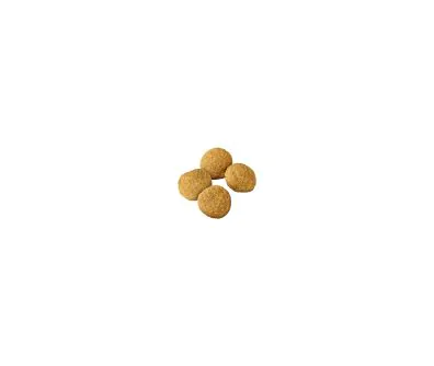 Purina Pro Plan Adult Large Breed dry dog food kibble