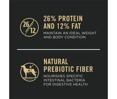 Dog food package label highlighting '26% Protein and 12% Fat' and 'Natural Prebiotic Fiber'