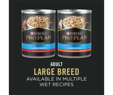 Two cans of Purina Pro Plan Adult Large Breed Beef & Rice and Chicken & Rice wet dog food