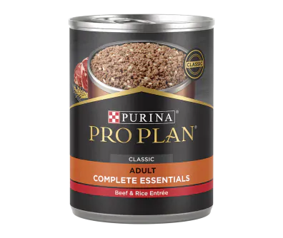 Pro plan beef top