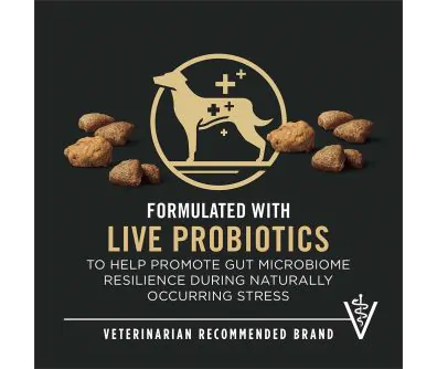 Dog food package label highlighting 'Live Probiotics' and 'Veterinarian Recommended Brand'
