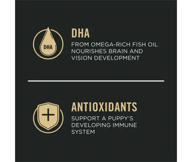 Dog food package label highlighting 'Antioxidants' and 'DHA'