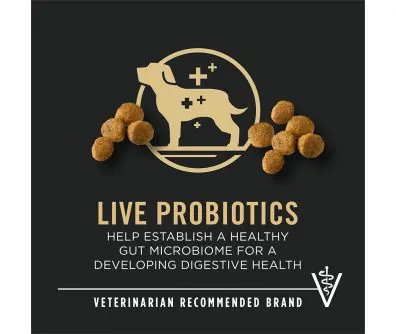 Dog food package label highlighting 'Live Probiotics' and 'Veterinarian Recommended Brand'