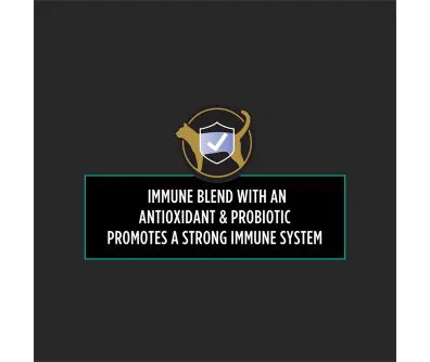antioxidant & probiotic promotes a strong immune system