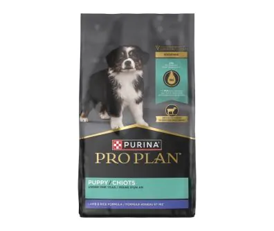 best price on blue buffalo cat food Blue Buffalo Sensitive Stomach Chicken Recipe Adult Dry Cat Food