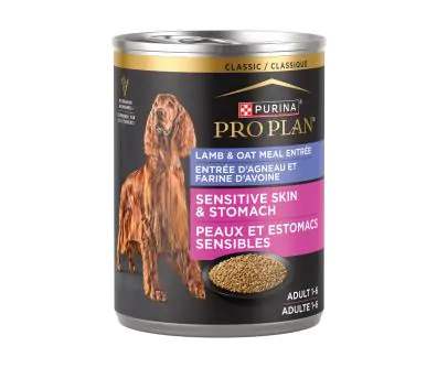 Pro Plan Sensitive Skin & Stomach Lamb Dog Food | Pro Plan Vet Direct