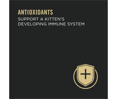 Purina Pro Plan Development Kitten Chicken & Liver Entree Classic Cat Food