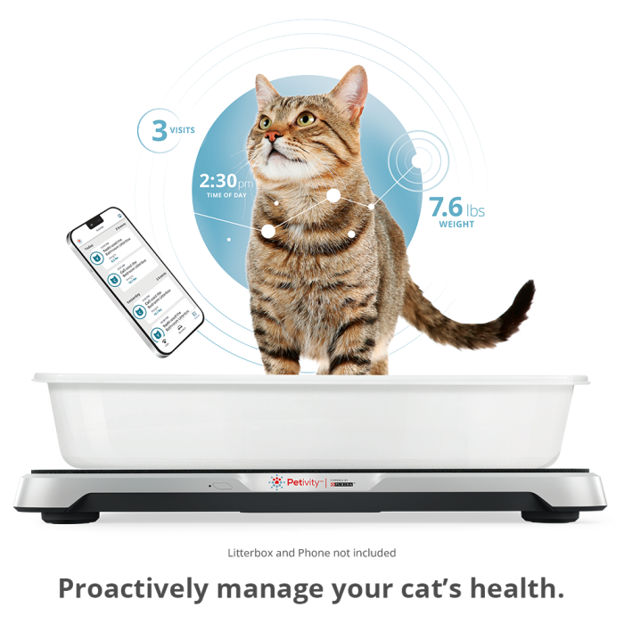 monitor cat