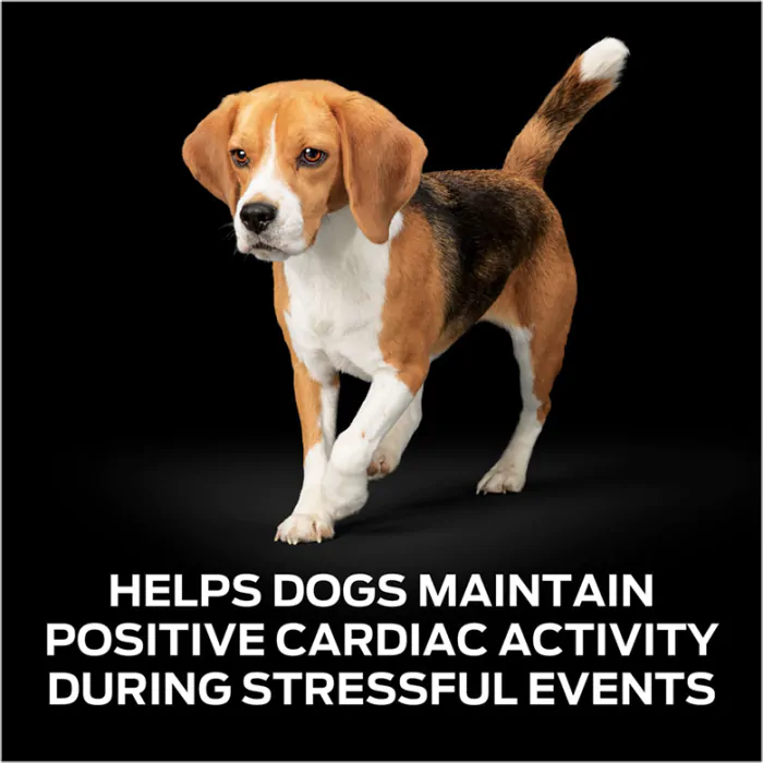 Dog sales calming probiotic