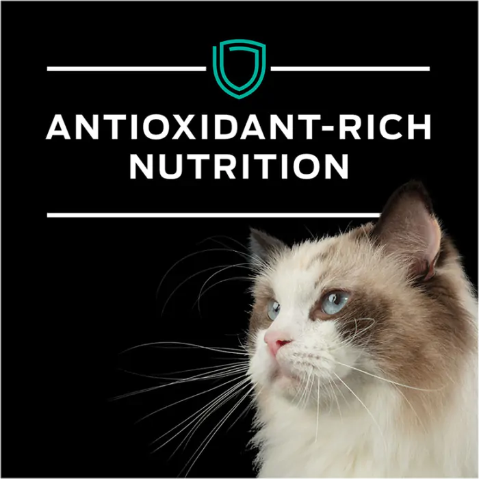 Purina pro plan gastroenteric cat hot sale