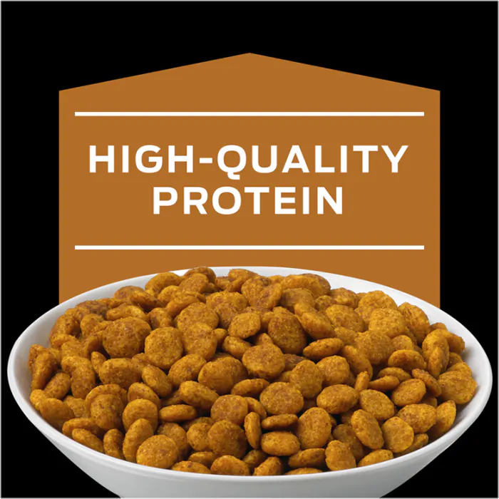 Purina pro plan veterinary diets nf kidney function advanced care formula dry cat food cheap