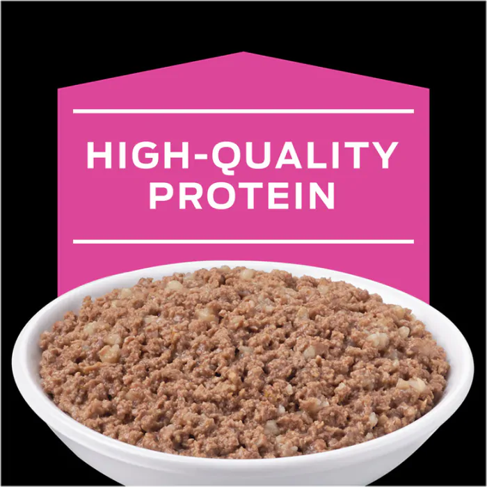 Purina ur urinary tract cat food 16 lb cheap