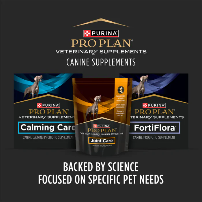 Pro 2024 plan supplements