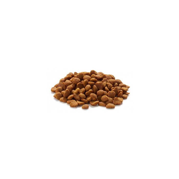 Purina Pro Plan Prime Plus Adult 7 Senior Chicken Rice Formula