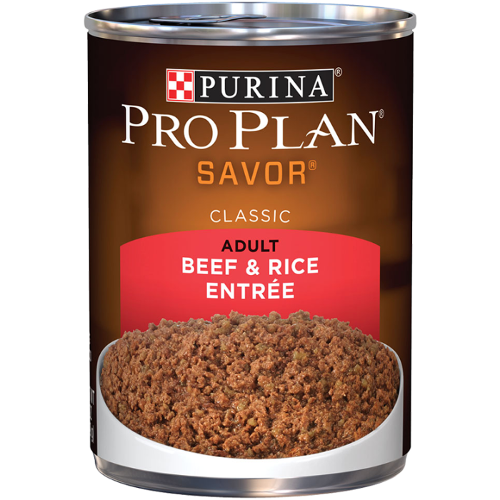 Purina wet sales food dog