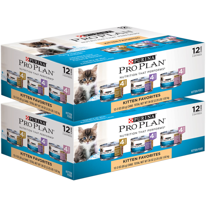 Purina pro plan deals focus kitten food