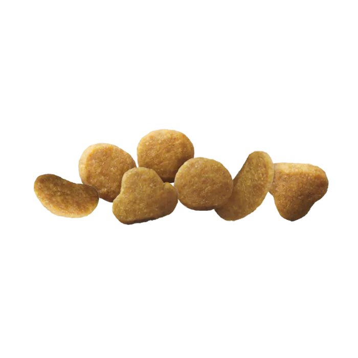 Purina pro plan focus chicken & rice formula dry kitten cheap food