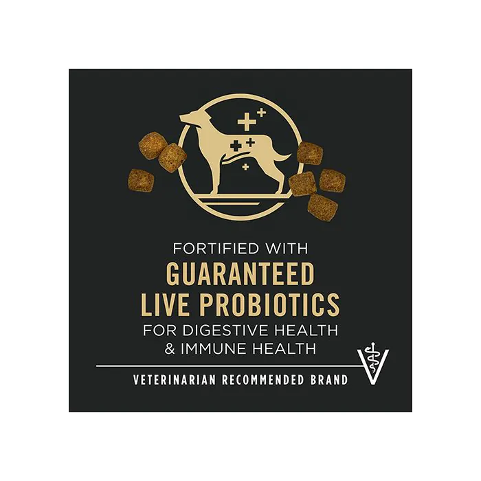 Purina bright outlet mind coupon