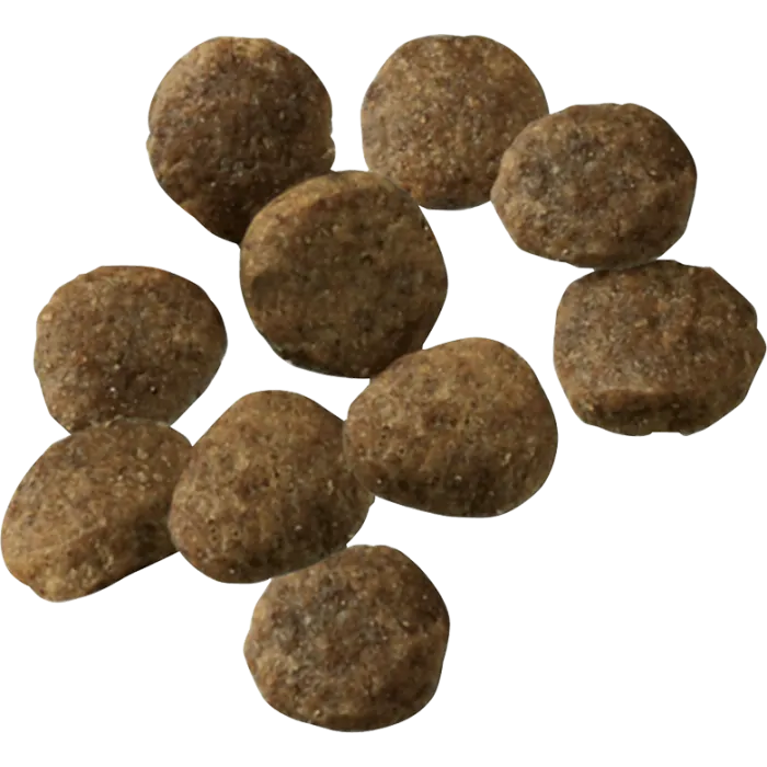 Purina Pro Plan Development Puppy Sensitive Skin Stomach Salmon