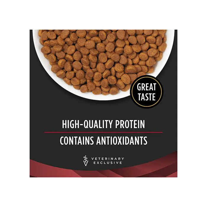 Purina pro plan veterinary diets dm dietetic hotsell management formula dry cat food