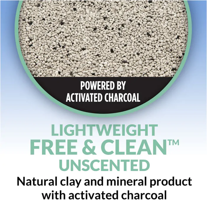Tidy cat 2024 litter lightweight unscented